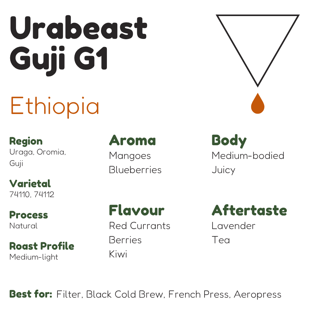 Ethiopia Urabeast Guji G1