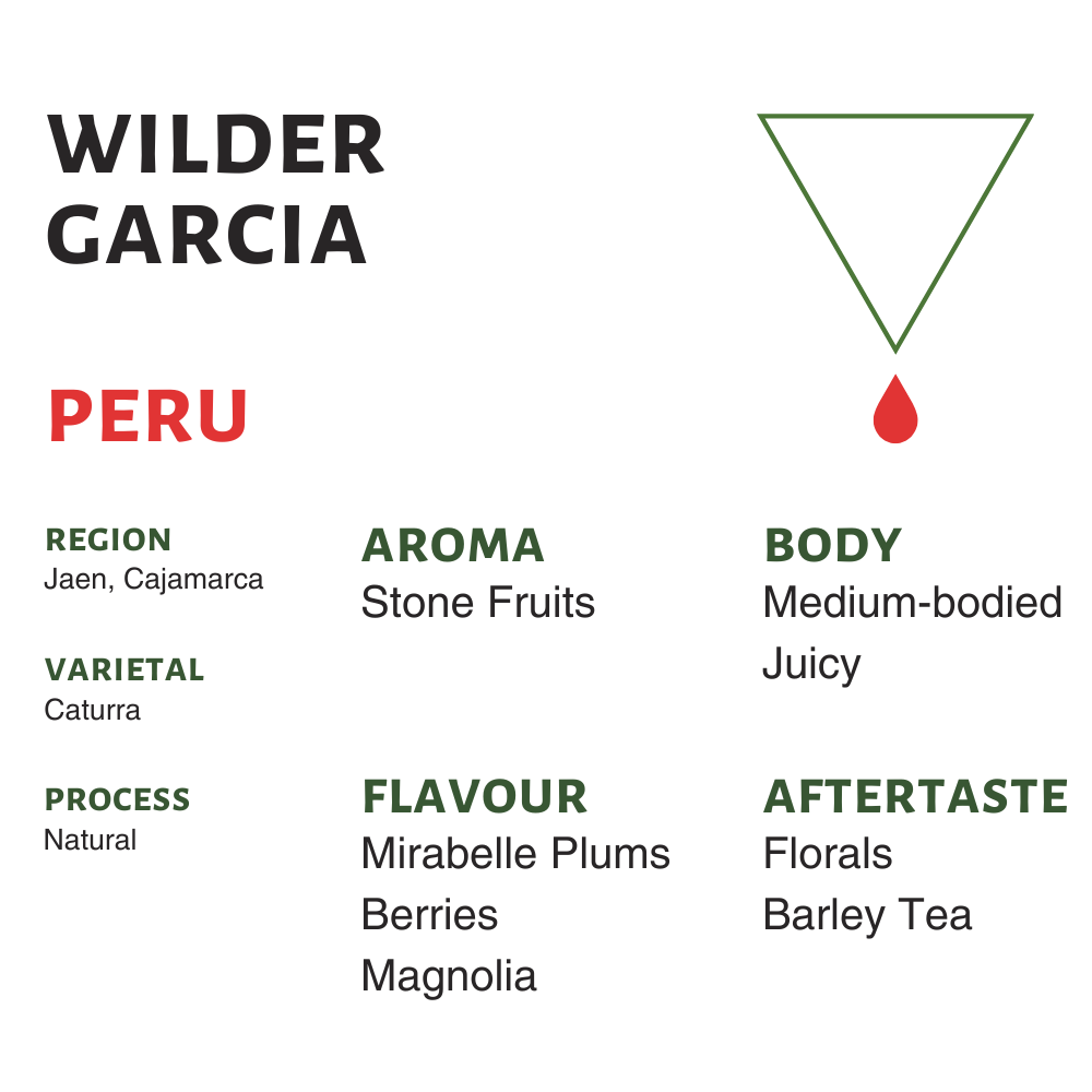 Peru Wilder Garcia